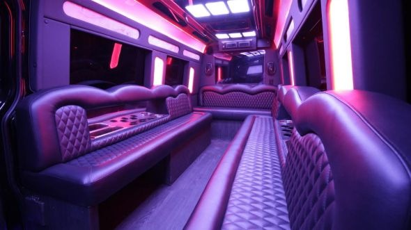elizabeth sprinter limo rental rental