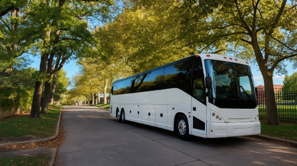 woodbridge prom and homecoming party bus rentals